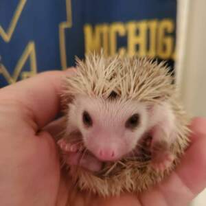 Fundraising Page: Billiejo Snider